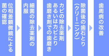 歯周内科治療の流れ