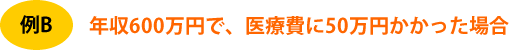 年収600万円で、医療費に50万円かかった場合